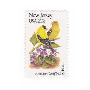 State Birds and Flowers Miniature Mini Plate NEW JERSEY Goldfinch Violet State Birds and Flowers Miniature Mini Plate NEW JERSEY Goldfinch Violet