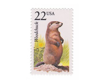 1987 22c Woodchuck - North American Wildlife Series - Single Vintage Postage Stamp - Item No. 2307