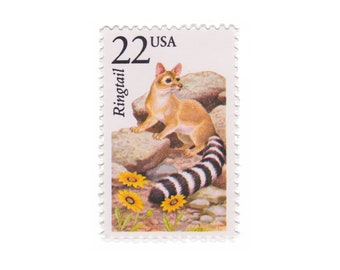 1987 22c Ringtail - North American Wildlife Series - Single Vintage Postage Stamp - Item No. 2302