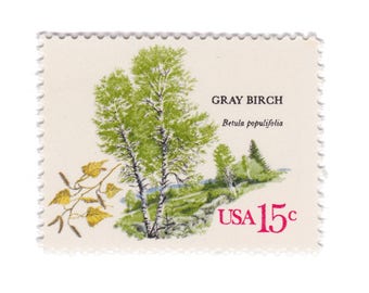 1978 15c American Trees Series - Gray Birch - Single Unused Vintage Postage Stamp - Item No. 1767
