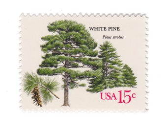 1978 15c American Trees Series - White Pine - Single Unused Vintage Postage Stamp - Item No. 1765