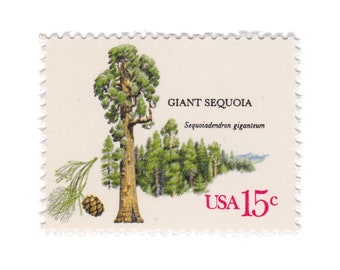 1978 15c American Trees Series - Giant Sequoia - Single Unused Vintage Postage Stamp - Item No. 1764