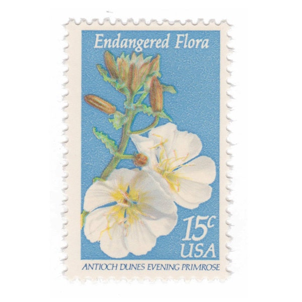 1979 15c Endangered Flora Primrose - Single Unused Vintage Postage Stamp - Item No. 1786