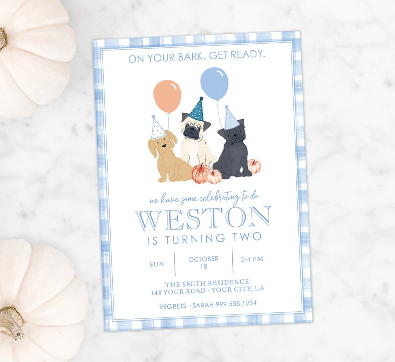 Puppies & Pumpkin Birthday Invitation · Boy 2nd Birthday · Printed Cards or Digital · Fall Birthday · Blue Gingham Invite · Puppy Party image 1
