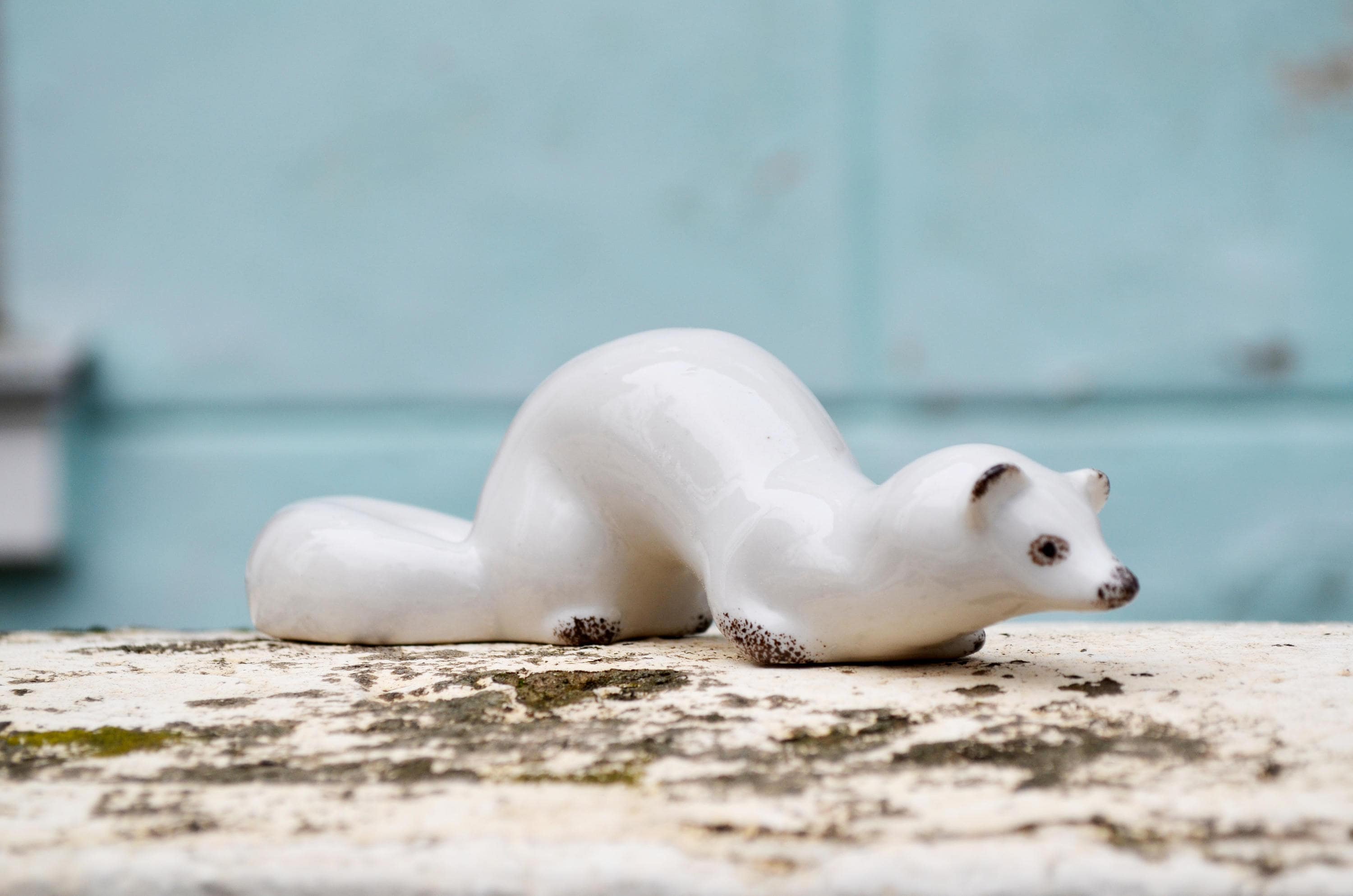 Arctic ferret white for sale sale