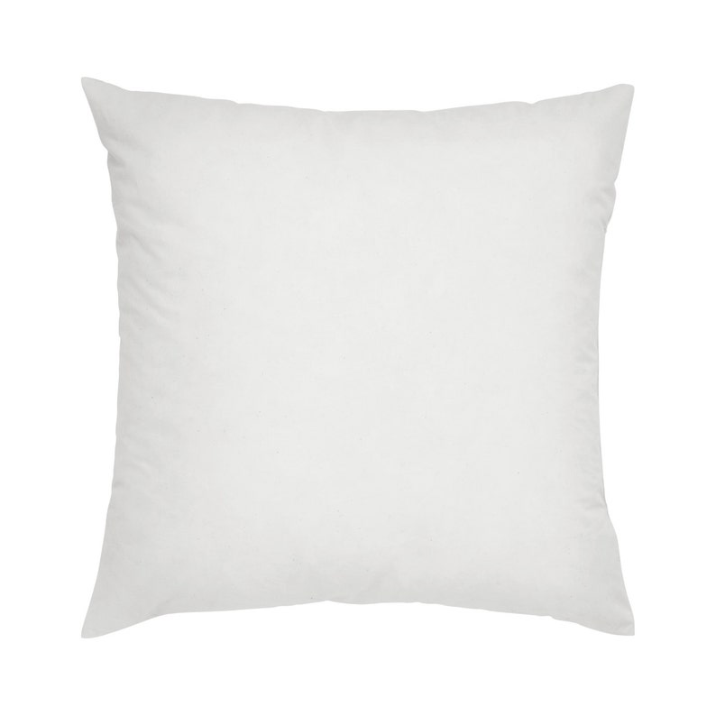 20x20in Poly Pillow Fill Etsy