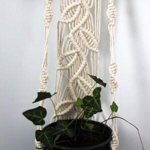 May include: A macrame plant hanger with a white cotton cord and a geometric pattern. A potted green plant hangs from the macrame hanger.