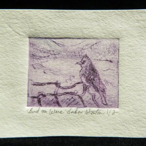 Bird on Wire: Miniature Etching