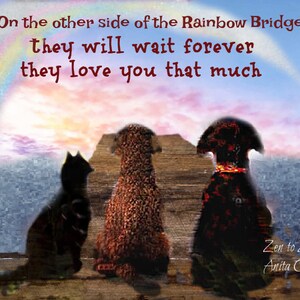 RAINBOW BRIDGE .....(Item #348)...Art by Anita... Prints and Cards.....No Zen to Zany watermark on products