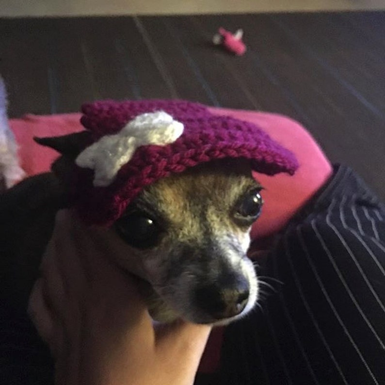 Dog Hat Crochet Pattern for small dogs Etsy