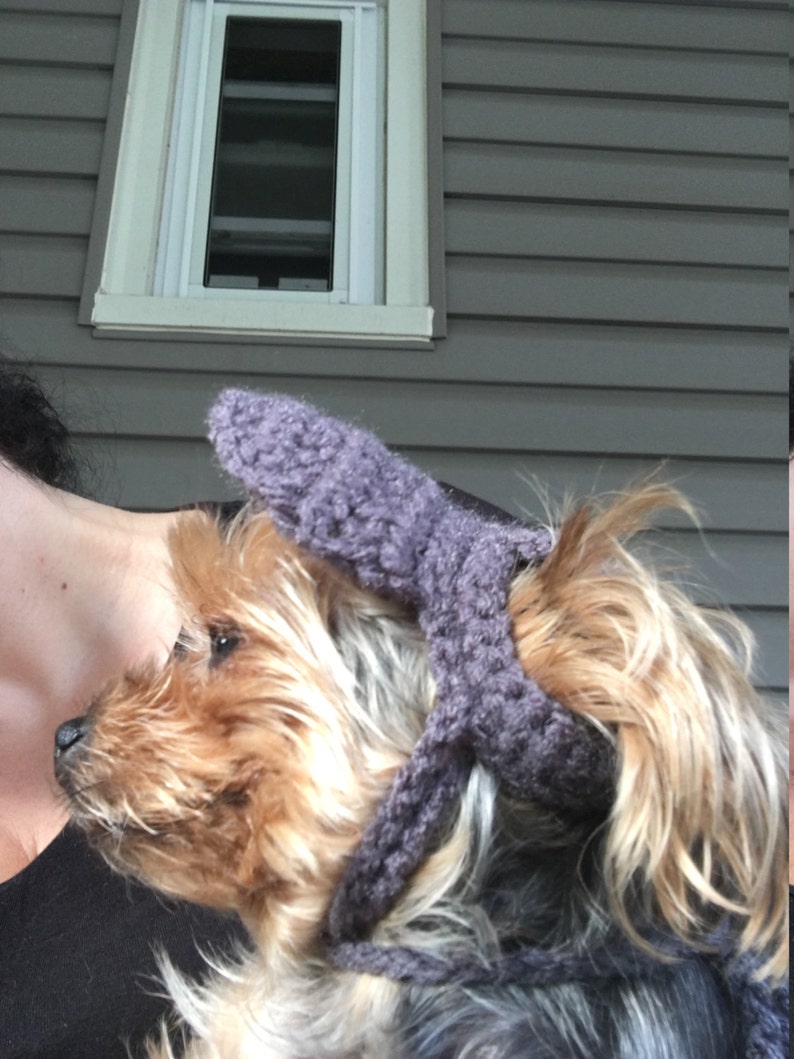 Dog Hat Crochet Pattern for small dogs Etsy