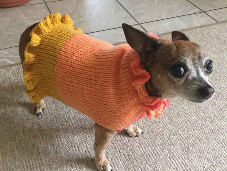Ruffled doggie sweater knitting pattern Etsy
