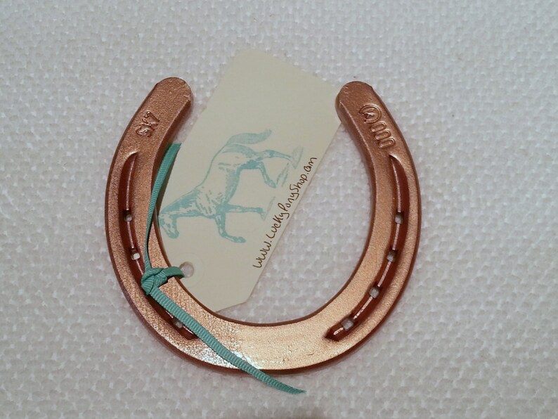 Horseshoecopper W Custom Gift Taghorseshoe Horse Shoe Etsy
