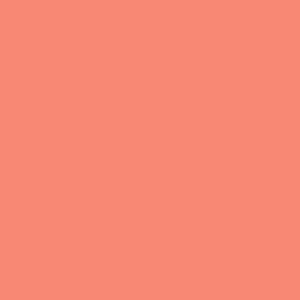 Puede incluir: Fondo liso de color coral. La imagen es una composici&oacute;n plana, de un solo color, sin otros elementos ni detalles. El color es un tono c&aacute;lido, rojizo-anaranjado.