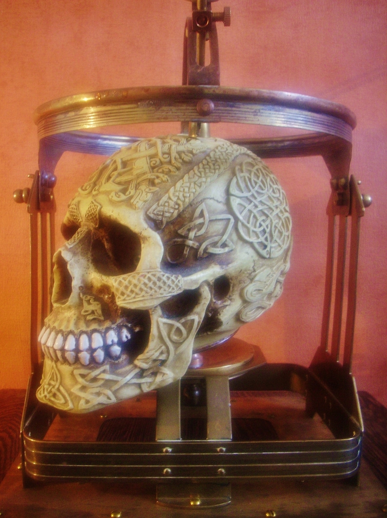 NESCIO Steampunk Craniometer with Celtic Knotwork Skull image 7