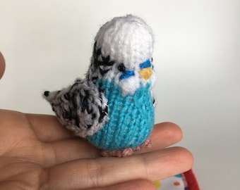 Hand knitted little blue Budgie with little blanket and hand made box (this is a toy and ornament) .
