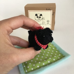 Black  Pug hand knit, with polka dot red bandana in a box with a blanket.