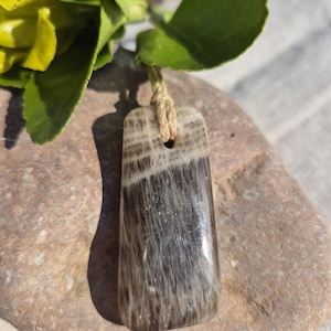 Könnte beinhalten: Ein rechteckiger Anhänger mit einem natürlichen, gestreiften Muster in Braun- und Cremetönen, der an einer beigefarbenen Kordel hängt. Der Anhänger wird auf einem Stein präsentiert, mit grünen Blättern und einer gelben Blume im Hintergrund.