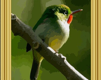 Jamaican Tody Bird aka Rasta Bird Wall Art Painting Digital Downloads Printable Image File