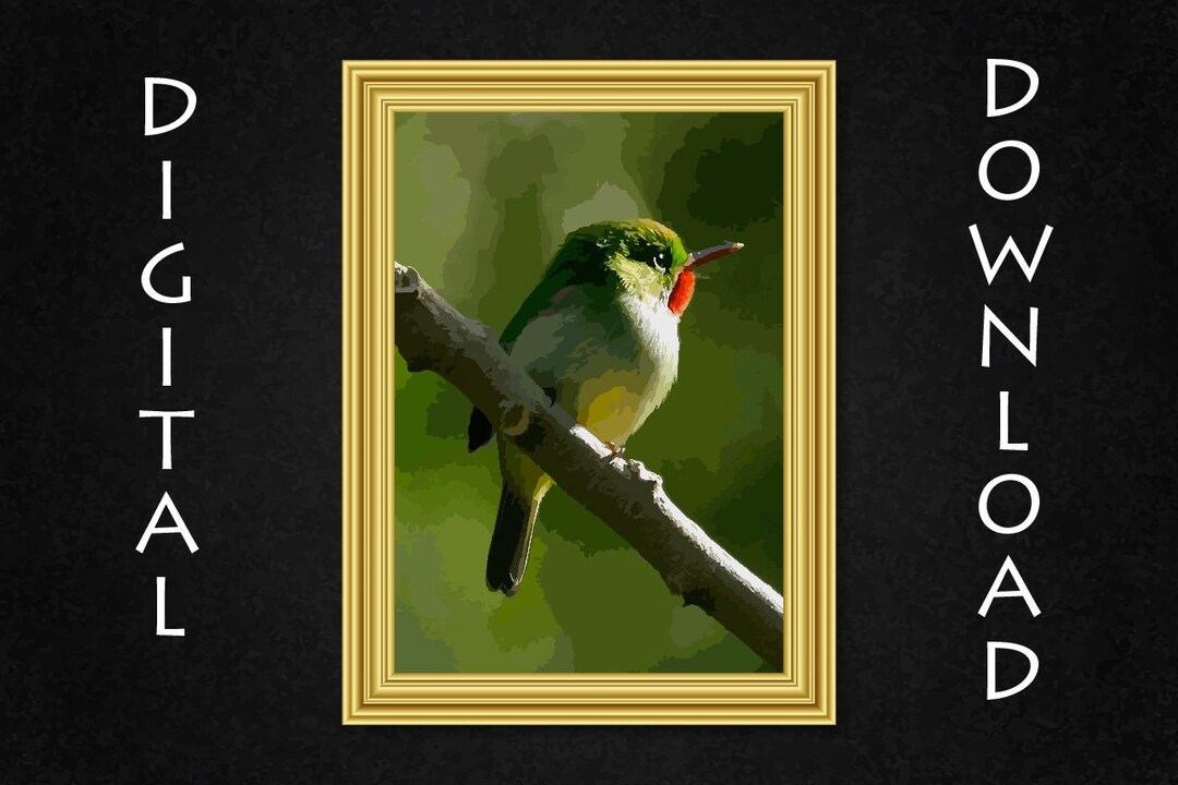 Jamaican Tody Bird aka Rasta Bird Wall Art Painting Digital Downloads ...