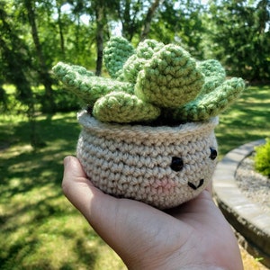 Crocheted Succulent in Pot Houseplant READY TO SHIP