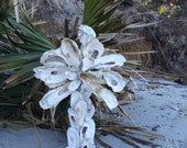 Items similar to Palmetto Oyster Shell Tree Smallhow on Etsy
