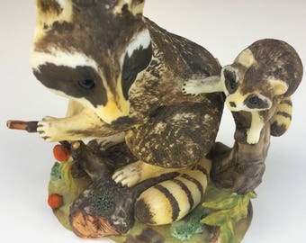 Raccoon Natures Friends Collection Vintage