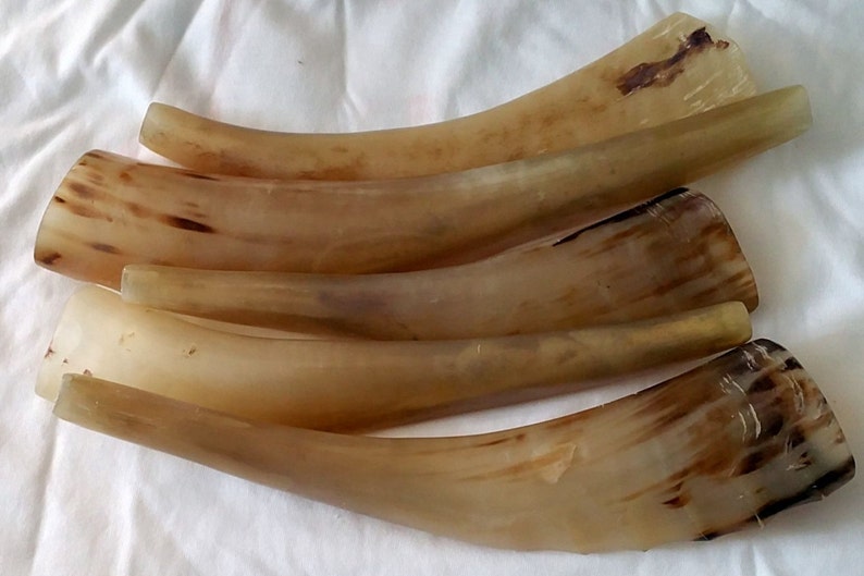 SALE Shofar Rams horn Rosh Hashanah Jewish New Year High Etsy