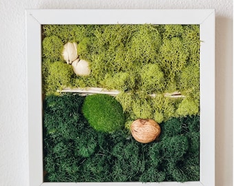 DIY Kit, Moss Wall Art, Make Your Own Hanging Moss Wall