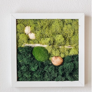 DIY Kit, Moss Wall Art, Make Your Own Hanging Moss Wall