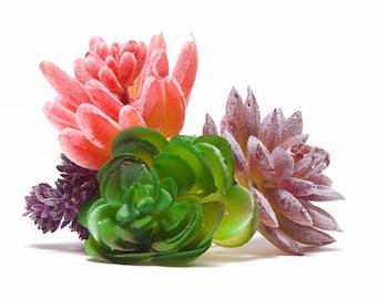 Artificial Succulent Plants, Faux Plants