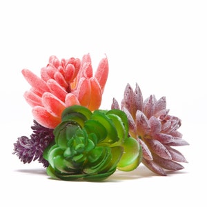 Plantes succulentes artificielles, fausses plantes