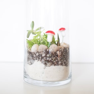 DIY Kit, Terrarium Building Kit, Complete Succulent Planter Kit,