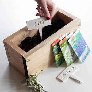 Kit fai da te, kit da giardinaggio per principianti di erbe con fioriera in legno, costruisci la tua fioriera, kit da giardinaggio domestico