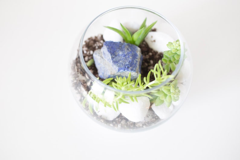 DIY Kit, Terrarium Building Kit, Complete Succulent Planter Kit image 1