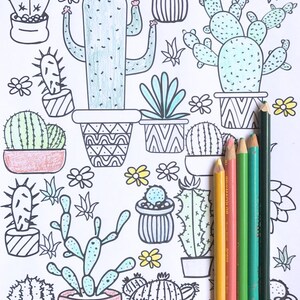 May include: A coloring page featuring a variety of cacti and succulents in pots. The page is decorated with flowers and leaves. There are six colored pencils on the right side of the page.