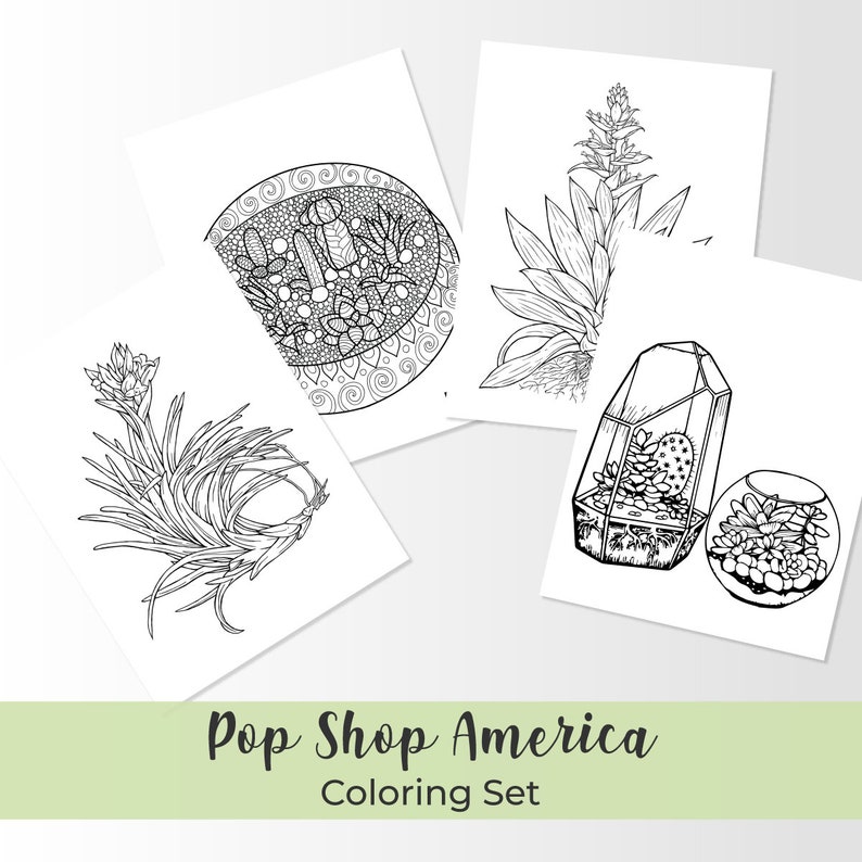 Adult Coloring Pages with Succulents & Terrariums Set | Etsy
