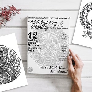 Adult Coloring Monthly Subscription Box, Adult Coloring Books Printed and Mailed Monthly by Pop Shop America