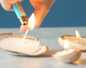 DIY Kit, Gilded Seashell Candle Making Kit