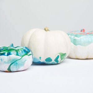 DIY Kit, Modern Painted Pumpkins Craft Supply Kit, Halloween Pumpkin Kit, Fall Decorating