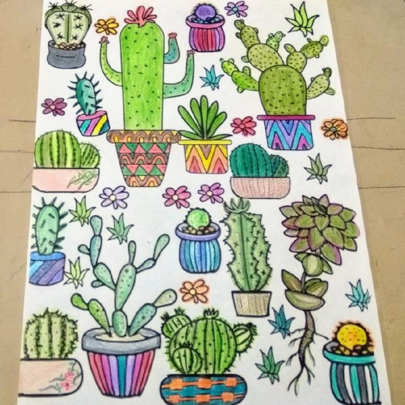 May include: A hand-drawn illustration of various cacti and succulents in different pots. The cacti are green and have spines, while the succulents are green and have fleshy leaves. The pots are colorful and have different patterns.