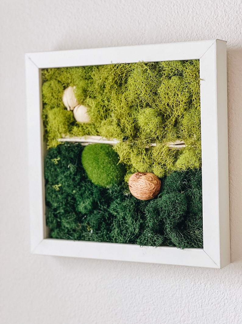 DIY Kit Moss Wall Art Make Your Own Hanging Moss Wall Etsy