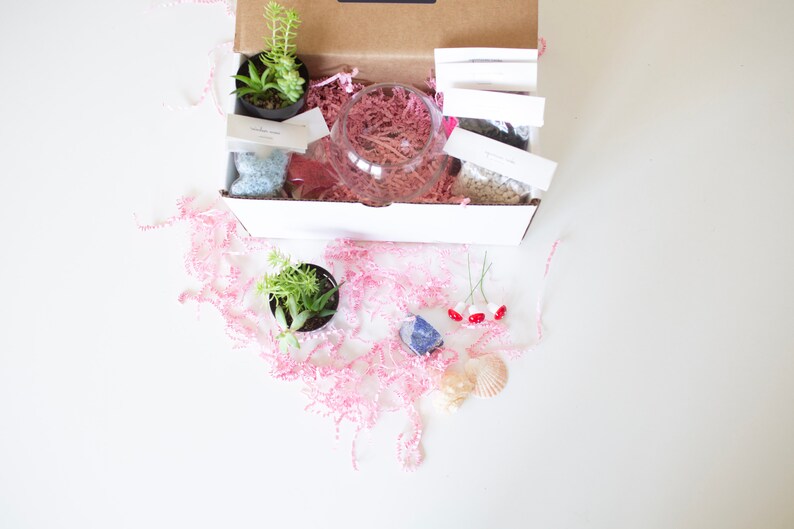 DIY Kit, Terrarium Building Kit, Complete Succulent Planter Kit image 8