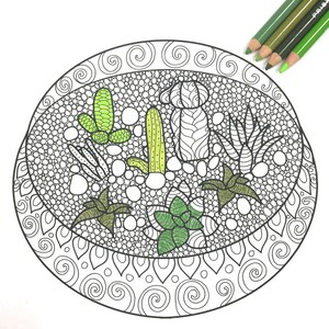 May include: A black and white line drawing of a succulent garden inside a circular pot. The succulents are colored in shades of green.