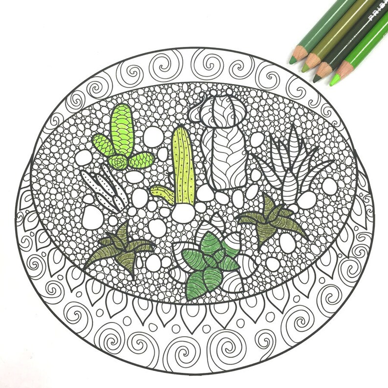 May include: A black and white line drawing of a succulent garden inside a circular pot. The succulents are colored in shades of green.