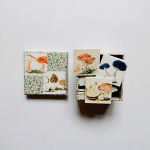 Memory-Spiel Vintage Pilze Morchel  Zeichnungen Memo Legespiel