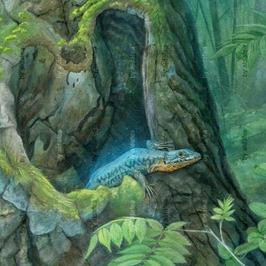 May include: A blue and orange lizard peeks out from a hole in a tree trunk. The tree trunk is covered in green moss and the lizard is surrounded by green leaves.