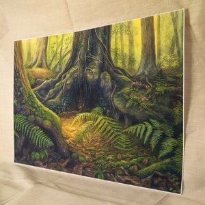 May include: A watercolor painting of a forest scene with a large tree trunk and roots. The roots are covered in moss and ferns. The light shines through the trees, creating a warm, inviting atmosphere.