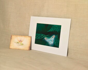 Signed Fine Art Print of fantasy landscape illustration "Butterflies" format 5,11" x 7,08"