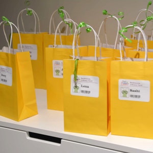 May include: Nine yellow paper gift bags with white handles and green ribbon. Each bag has a personalized label with a cartoon character wearing glasses and a name. The names on the labels are: Dory, Lena, Sashi.